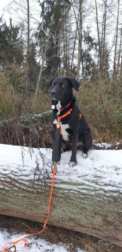 Doppelgänger gesucht !-Beitrag-Bild