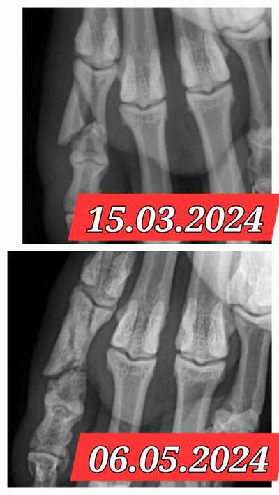 Danke ...-Beitrag-Bild