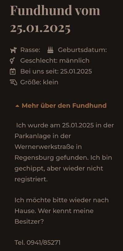 Entlaufene, Gefundene und Vermisste Hunde-Beitrag-Bild