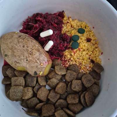 Zeigt her Eure Futternäpfe-Beitrag-Bild