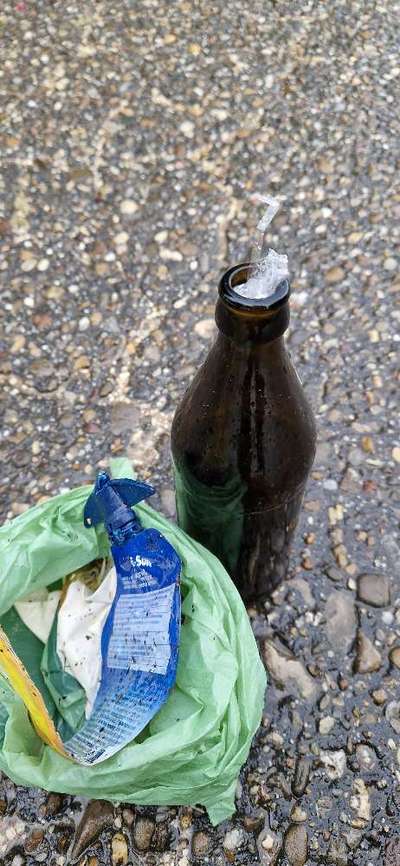 Challenge – Gassi & Clean-Beitrag-Bild