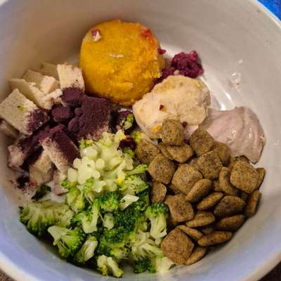 Zeigt her Eure Futternäpfe-Beitrag-Bild