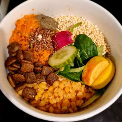 Zeigt her Eure Futternäpfe-Beitrag-Bild