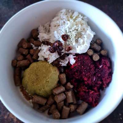 Zeigt her Eure Futternäpfe-Beitrag-Bild