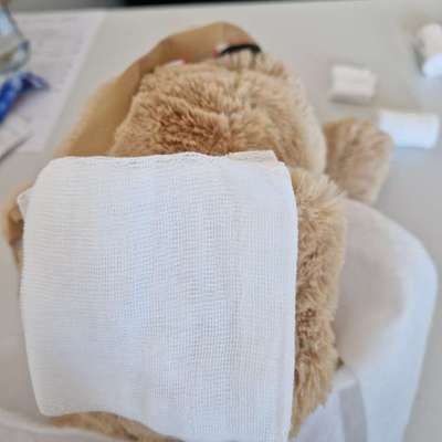 Ohrrandnekrose-Beitrag-Bild