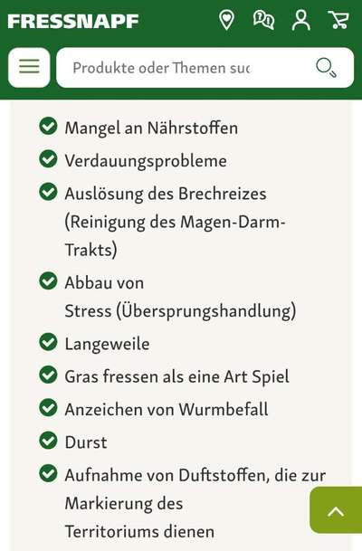 Gras fressen- bereits zweimal operiert-Beitrag-Bild