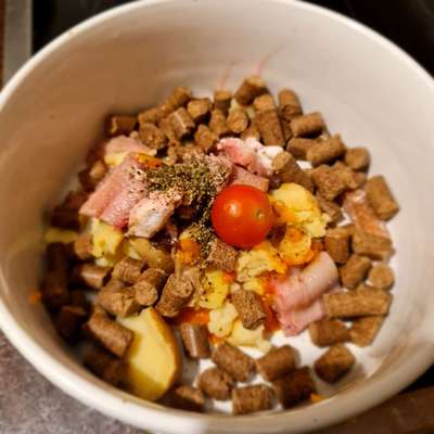 Zeigt her Eure Futternäpfe-Beitrag-Bild