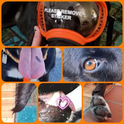 7. Collagen Challenge - Ganz Nah-Beitrag-Bild