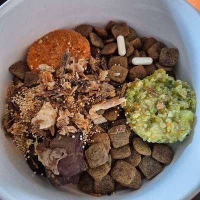 Zeigt her Eure Futternäpfe-Beitrag-Bild