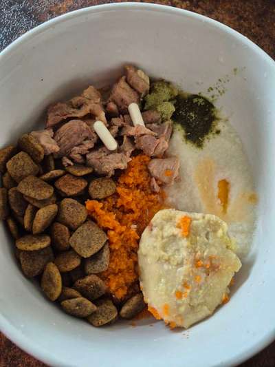 Zeigt her Eure Futternäpfe-Beitrag-Bild