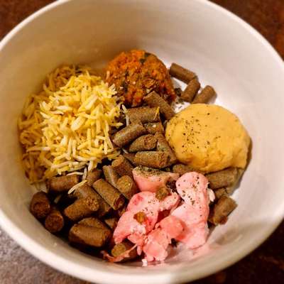 Zeigt her Eure Futternäpfe-Beitrag-Bild