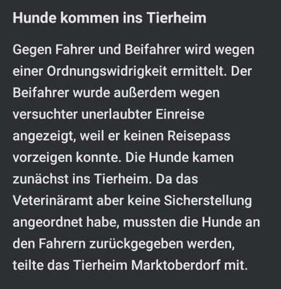 Welpen-/Hundekauf,Welpenhandel=Informationen und Hilfe-Beitrag-Bild