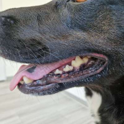 Abschürfung an der Nase?-Beitrag-Bild