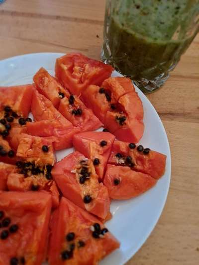 Zeigt her Eure Futternäpfe-Beitrag-Bild