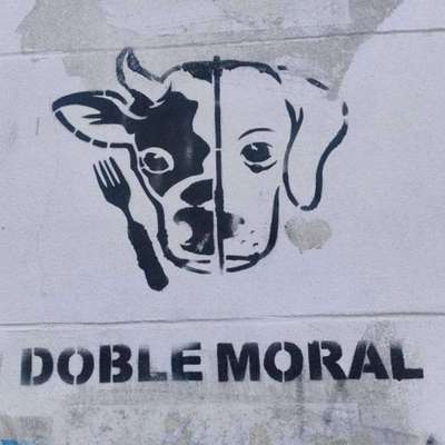 Hundetreffen-Mantrail Suchperson / Interessenten