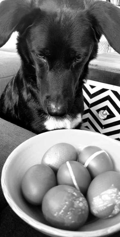 Foto-Challenge 76: Foto in Schwarz-Weiss-Beitrag-Bild