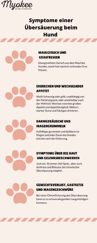 Schmatzen-Beitrag-Bild