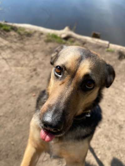 Tongue Out Tuesday-Beitrag-Bild