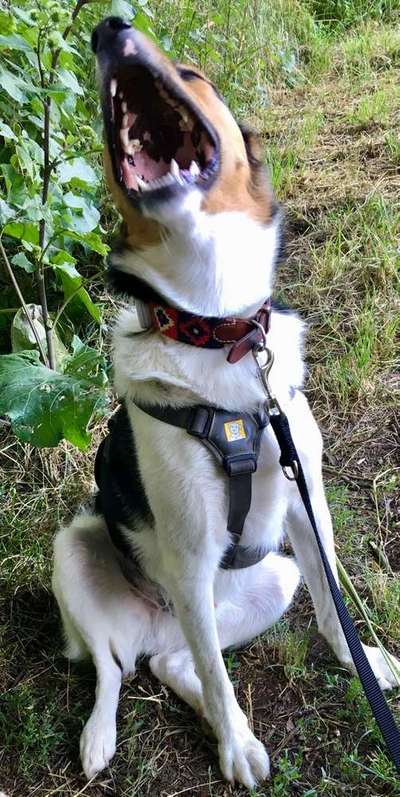 Immer lächeln !-Beitrag-Bild