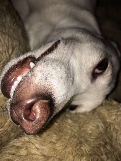 Immer lächeln !-Beitrag-Bild