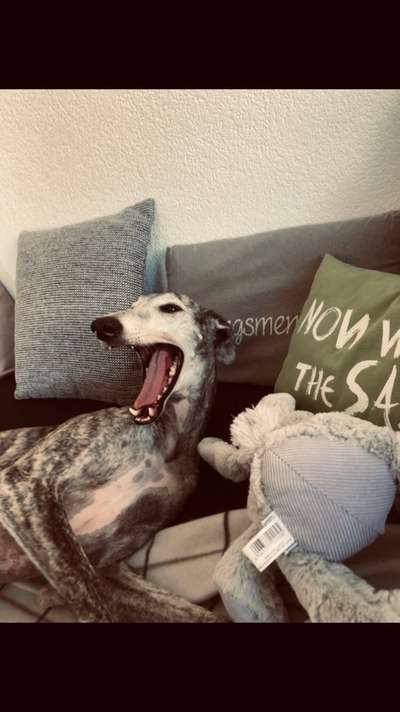 Handy-foto Challange nr. 11-Beitrag-Bild