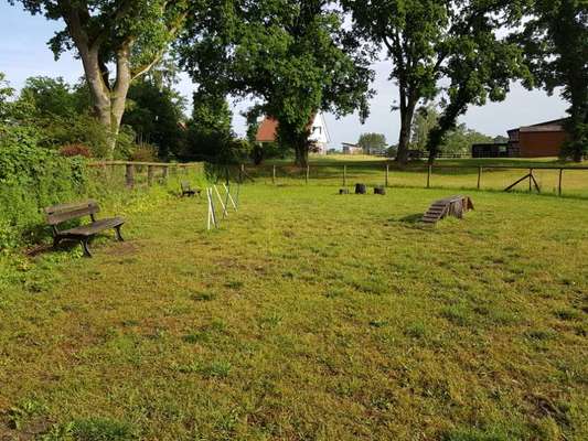 Hundeauslaufgebiet-Campingplatz Südheide-Bild