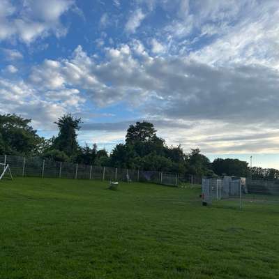 Hundeauslaufgebiet-Nadjas Petcare Freilauffläche-Bild
