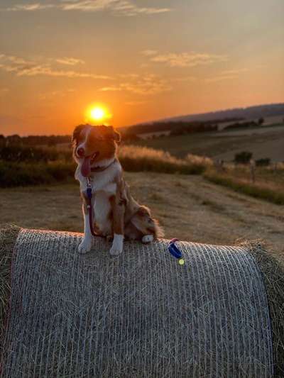 Zeigt eure Portraits-Beitrag-Bild