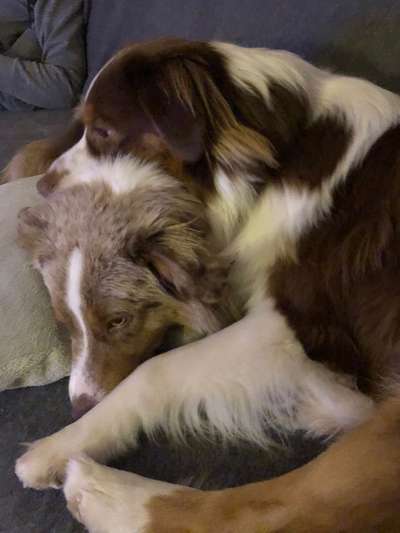 Foto Challenge Nr.: 115-Beitrag-Bild