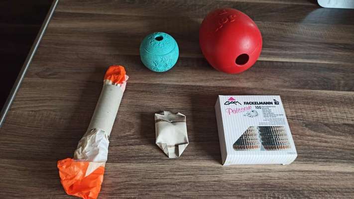 Collies gesucht-Beitrag-Bild