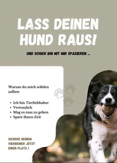 Hundetreffen-Liebevolle Hundespaziergänge in Ihrer Nähe – Zuverlässig & Günstig"-Bild