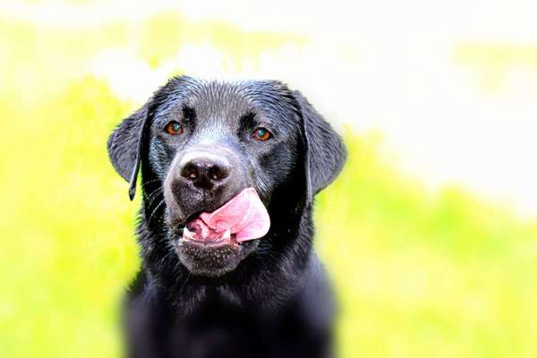 Austausch zur Fotografie-Beitrag-Bild