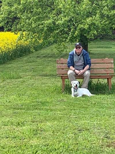 Hundetreffen-Der Hund muss raus? Ich würde mit dem Tier rund um Neckarsteinach laufen.-Bild