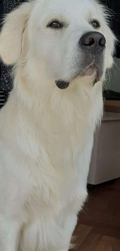 Fotochallenge Nr. 56 - geliebte Senioren-Beitrag-Bild