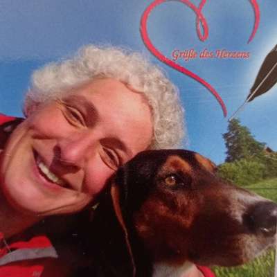 Hundetreffen-Hundesitting-Profilbild