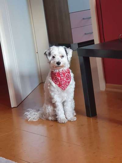 Lieblingsbild-Beitrag-Bild