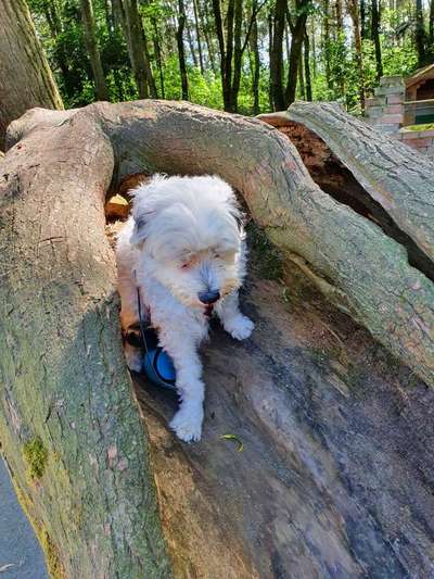 Theos  Fotochallenge Nummer 2-Beitrag-Bild