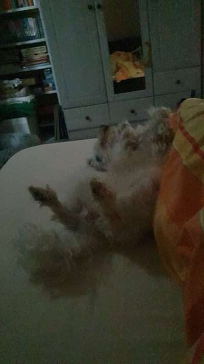 4. Lustiger Schlafplatz-Beitrag-Bild