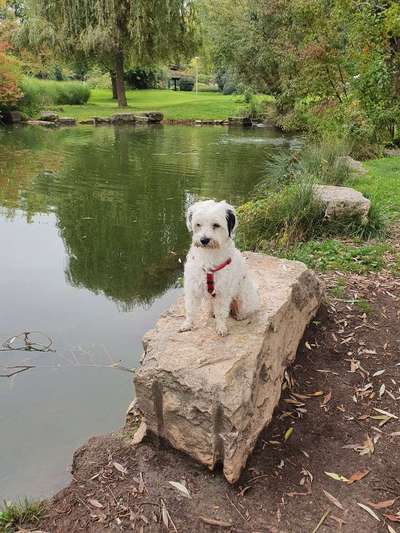 Fotowettbewerb Natur-Beitrag-Bild