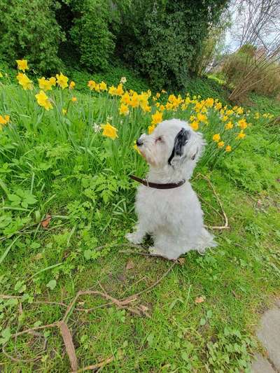 9.Farben-Fotochallenge            Gelb-Beitrag-Bild