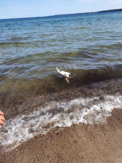 FOTOCHALLANGE NR.71 BADEFREUDE-Beitrag-Bild