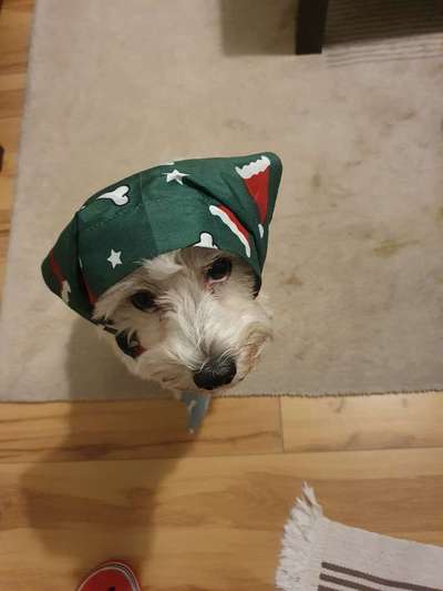 Handy-Foto Challange Nr. 10-Beitrag-Bild