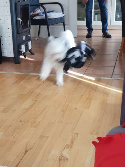 Un...scharf Bilder-Beitrag-Bild