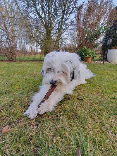 Lieblings Fotos-Beitrag-Bild