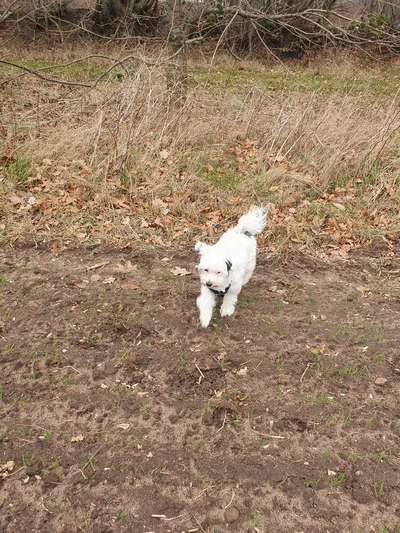 Wald Bild-Beitrag-Bild