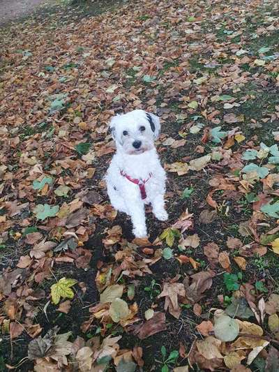 Herbst Bilder-Beitrag-Bild