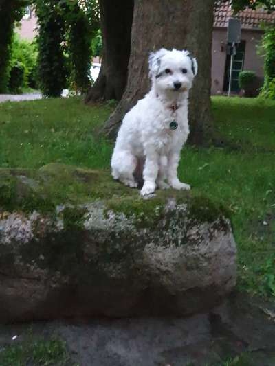 Fotowettbewerb Natur-Beitrag-Bild