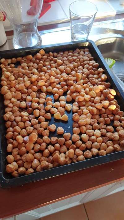 Heute gibt es.....der "ich mach die Leckerlis-Selber-Thread"-Beitrag-Bild