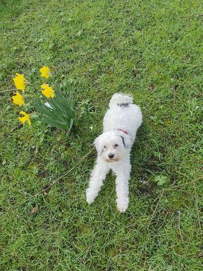 Fotochallenge Nr. 126-Beitrag-Bild