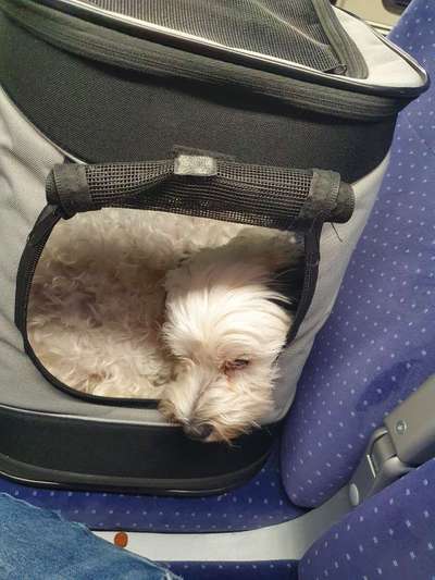 Fotochallenge 101:
On Tour-Beitrag-Bild